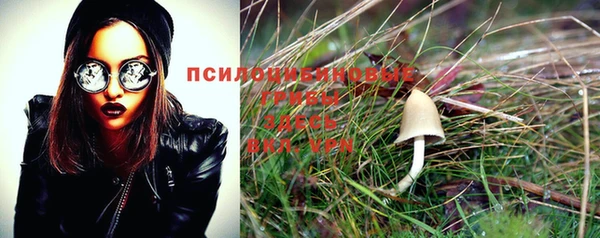 МДПВ Михайловка