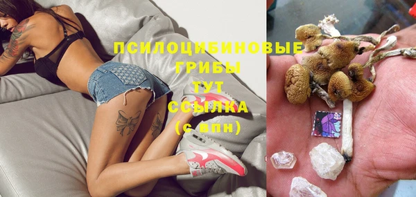 МДПВ Михайловка