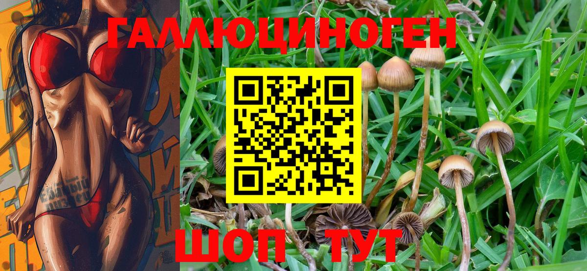 Галлюциногенные грибы MAGIC MUSHROOMS  Псилоцибиновые грибы GOLDEN TEACHER  Вход с VPN  Тулун 