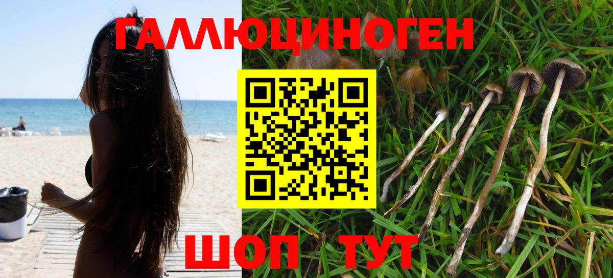 Codein Тулун