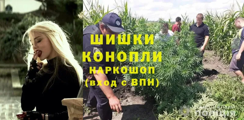 Шишки марихуана SATIVA & INDICA  сколько стоит  Тулун 